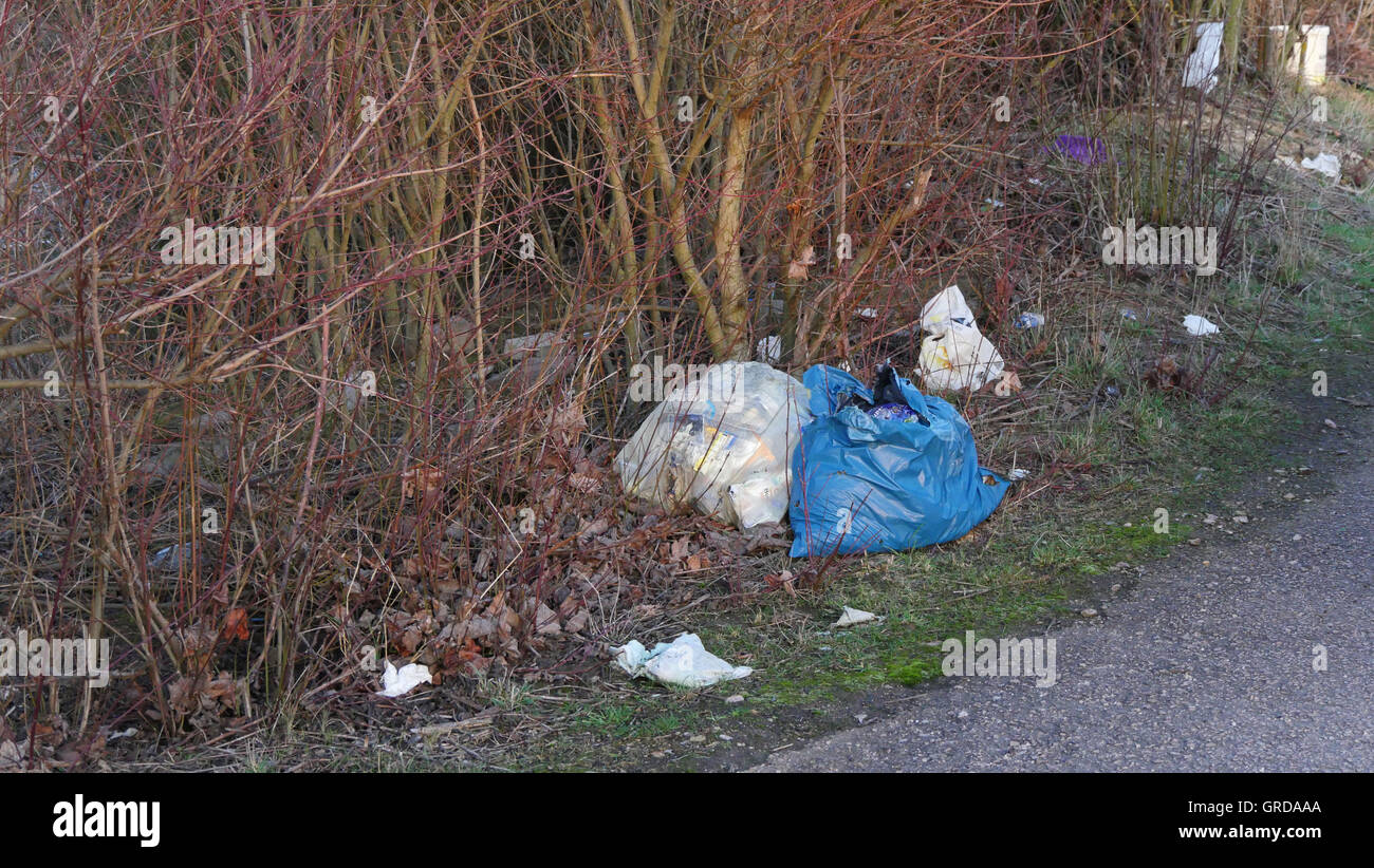 Wild discarica rifiuti gettati nel paesaggio, inquinamento Foto Stock