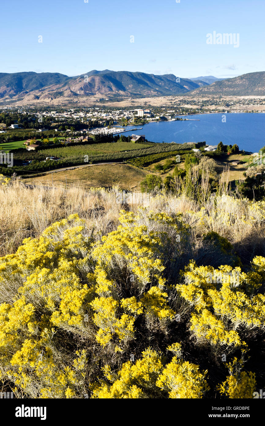 Penticton è una città nella Okanagan Valley del Sud interno della British Columbia, Canada, situato tra Okanagan e S Foto Stock