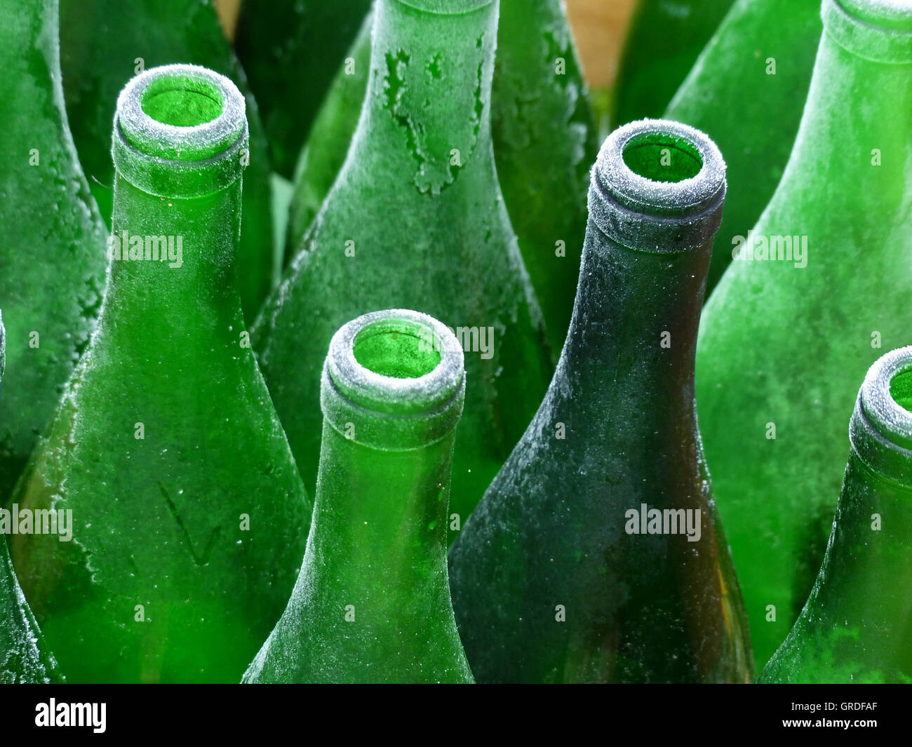 Vuoto verde bottiglie di vino, ghiacciato Foto Stock