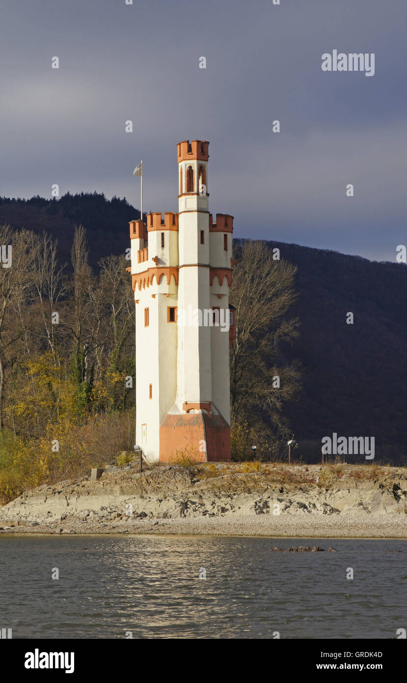 Torre di topi vicino a Bingen in corrispondenza di una piccola isola del fiume Reno, dal XIII secolo Foto Stock