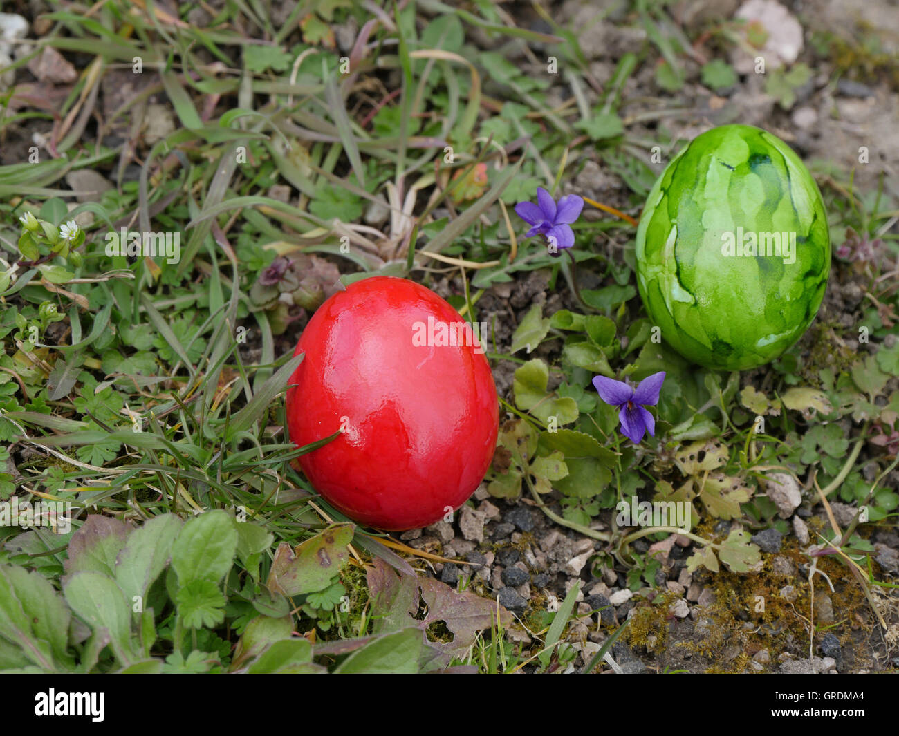 Due colorate Uova di Pasqua accanto a dolci violette su un prato Foto Stock