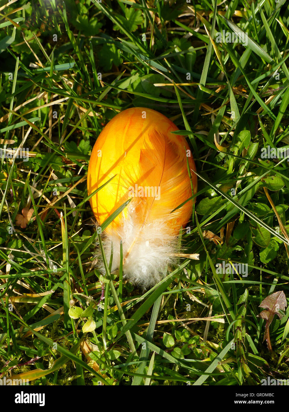 Giallo uovo di pasqua giacente in erba Foto Stock