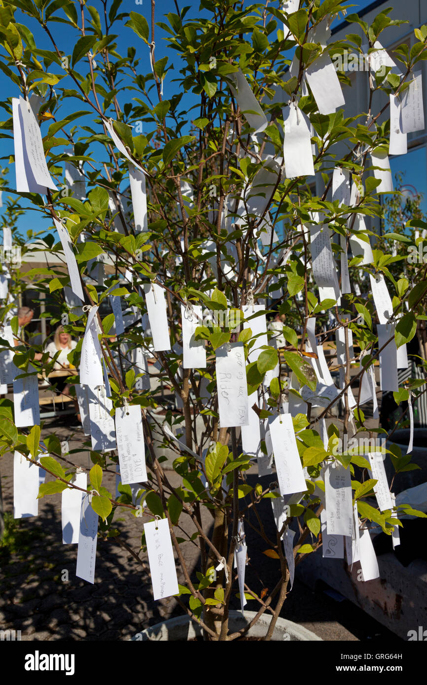 Copenaghen presenta contemporanea Yoko Ono 'desiderio Tree Garden" al di fuori del vecchio magazzino sul Papirøen, Isola di carta. Foto Stock
