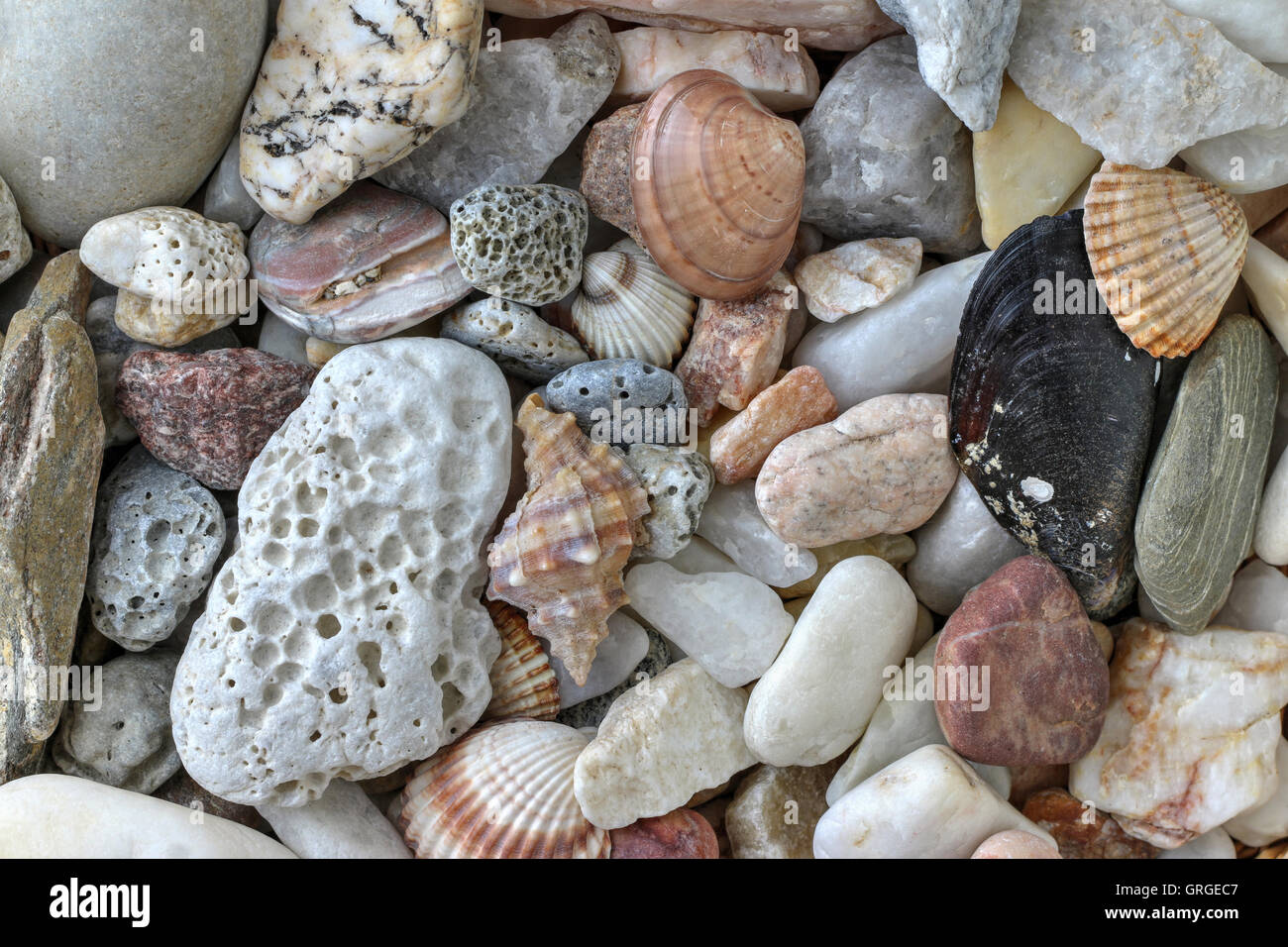 Pietre di ciottoli e conchiglie Foto Stock