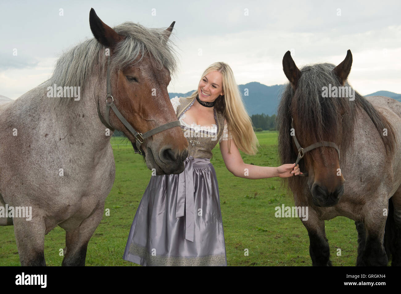 Sindeldorf, Germania. Il 29 agosto, 2016. Attenzione periodo di bloccaggio: 8 settembre 2016, 12 AM/dpa esclusivo: La Wiesn playmate Kathie Kern in posa con la fabbrica di birra cavalli a Urthalerhof in sindeldorf, Germania, 29 agosto 2016. Il Wiesnplaymate 2016 da un piccolo villaggio di montagna ha visitato il "horse power' che tira la birra pesanti carri presso la più grande fiera del divertimento nel mondo, l'Oktoberfest. Foto: FELIX HOERHAGER/dpa/Alamy Live News Foto Stock