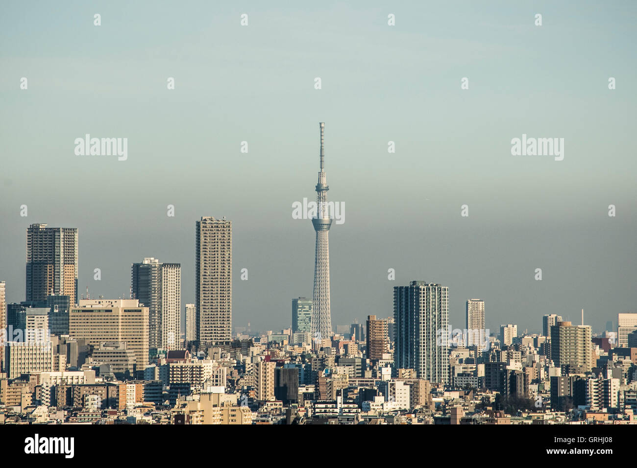 Tokyo Skytree, vista da Nerima-Ku, Tokyo, Giappone Foto Stock