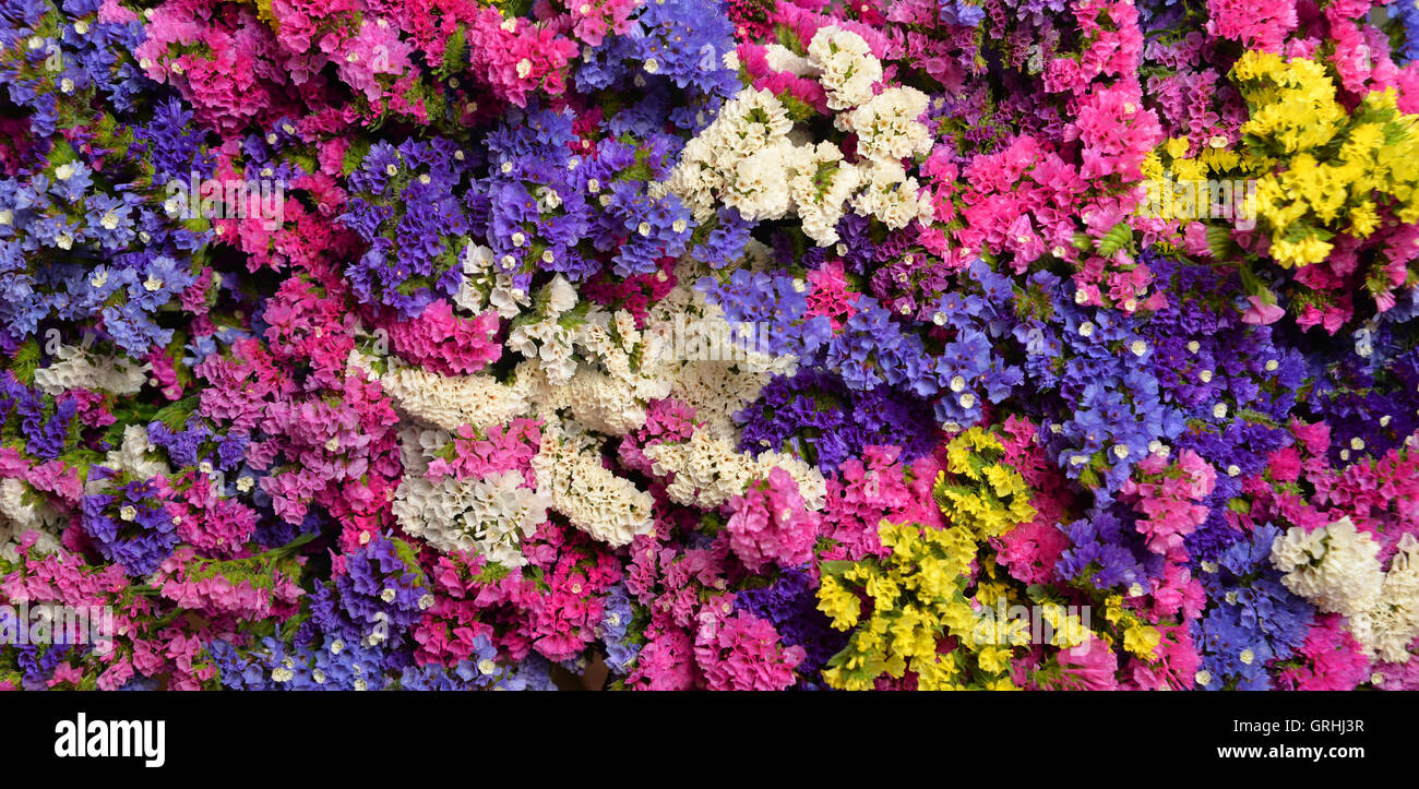 Bouquet di fiori selvatici in vari colori Foto Stock