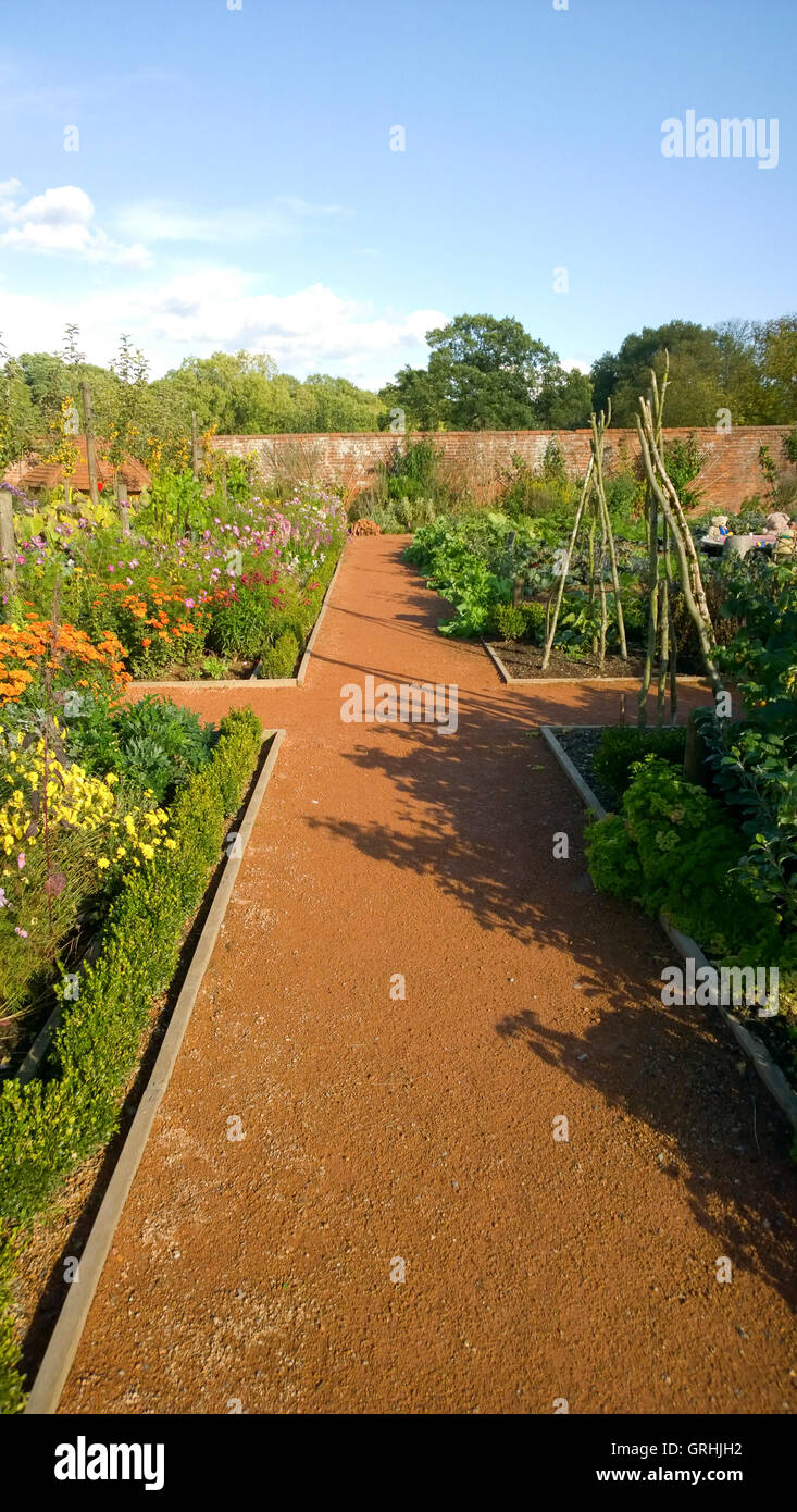 Teddy bear picnic Foto Stock