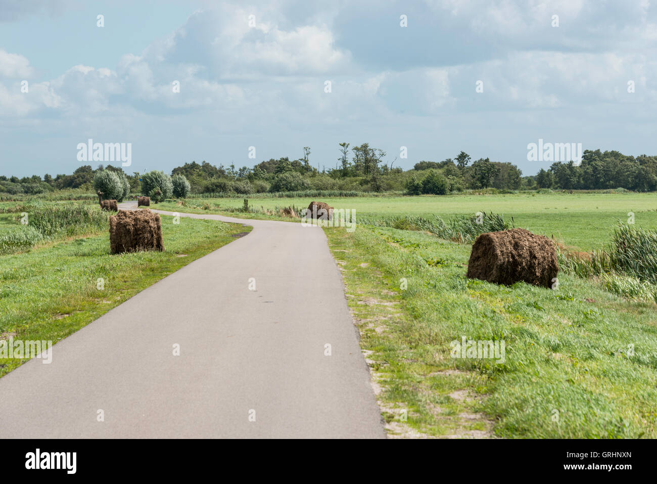 Erba secca o balle di fieno in campo verde con erba in natura in Olanda Foto Stock