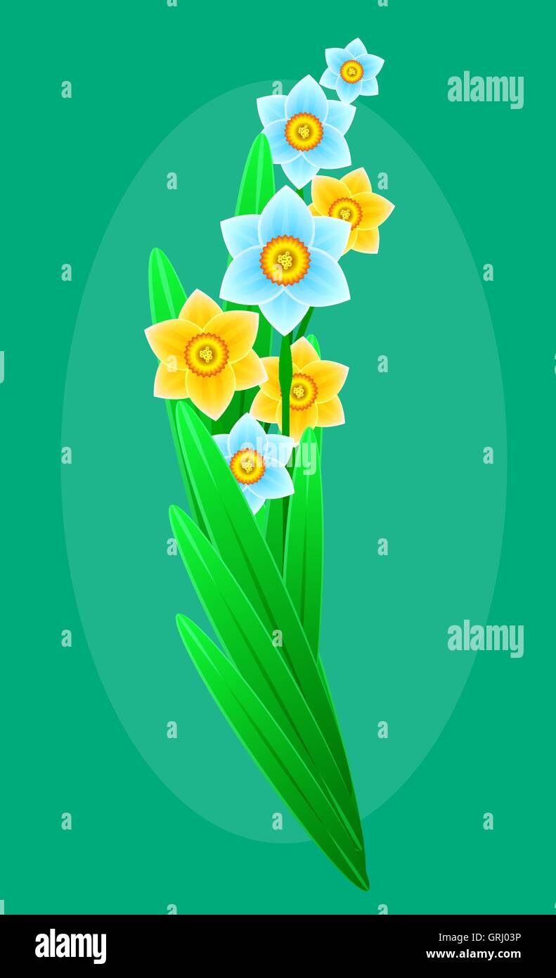 Delicato bouquet di primavera fiori di foresta per il design. Sfondo floreale. Vettore Illustrazione Vettoriale