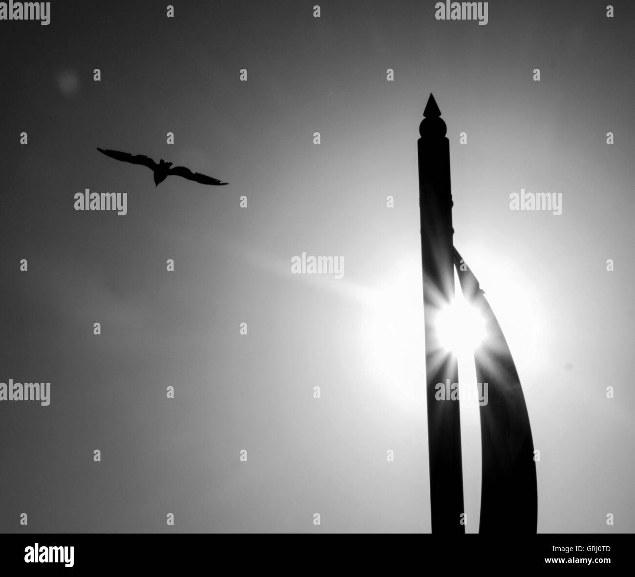 Stagliano bandiera pole e bandiera sole che splende attraverso, seagull volare nel cielo, la fotografia in bianco e nero Foto Stock