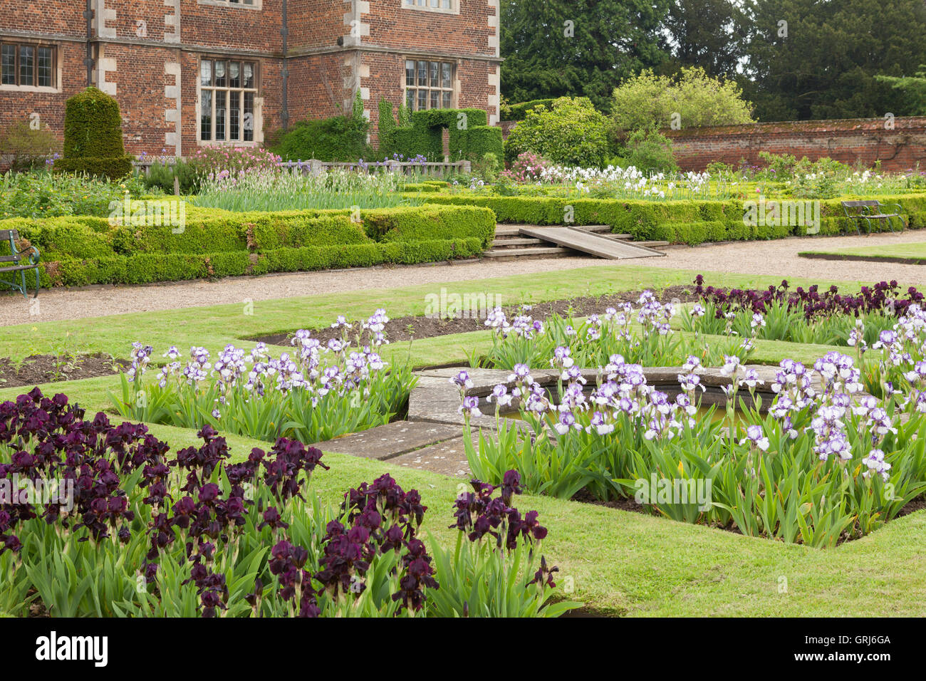 Doddington Hall e giardini, Lincolnshire, Regno Unito. Iridi in Occidente giardino durante la settimana dell'iride. Molla, maggio 2016. Foto Stock