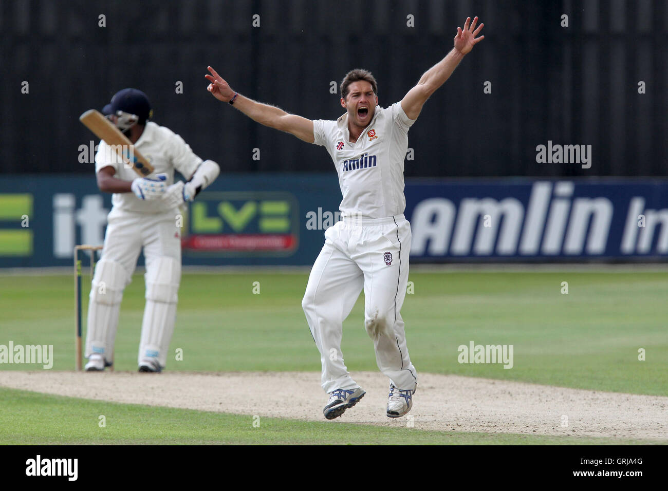 Un forte appello da Greg Smith di Essex per il paletto di Bilal Shafayat - Essex CCC vs Hampshire CCC - LV County Championship Division due Cricket presso la Ford County Ground, Chelmsford Essex - 19/07/12 Foto Stock