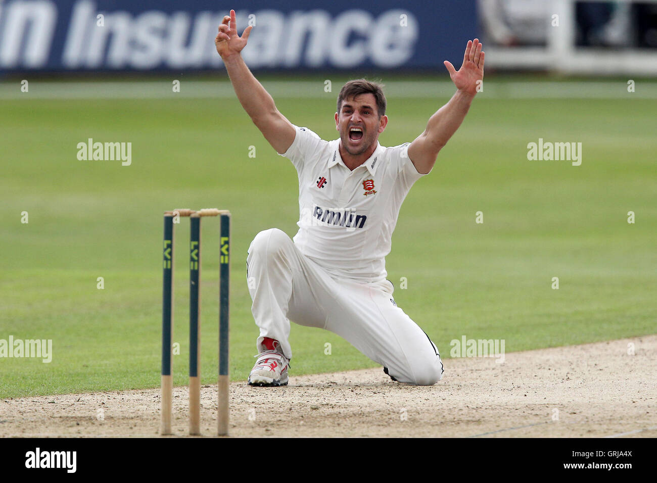 Ryan dieci Doeschate Essex di rivendicazioni del paletto di Bilal Shafayat - Essex CCC vs Hampshire CCC - LV County Championship Division due Cricket presso la Ford County Ground, Chelmsford Essex - 19/07/12 Foto Stock