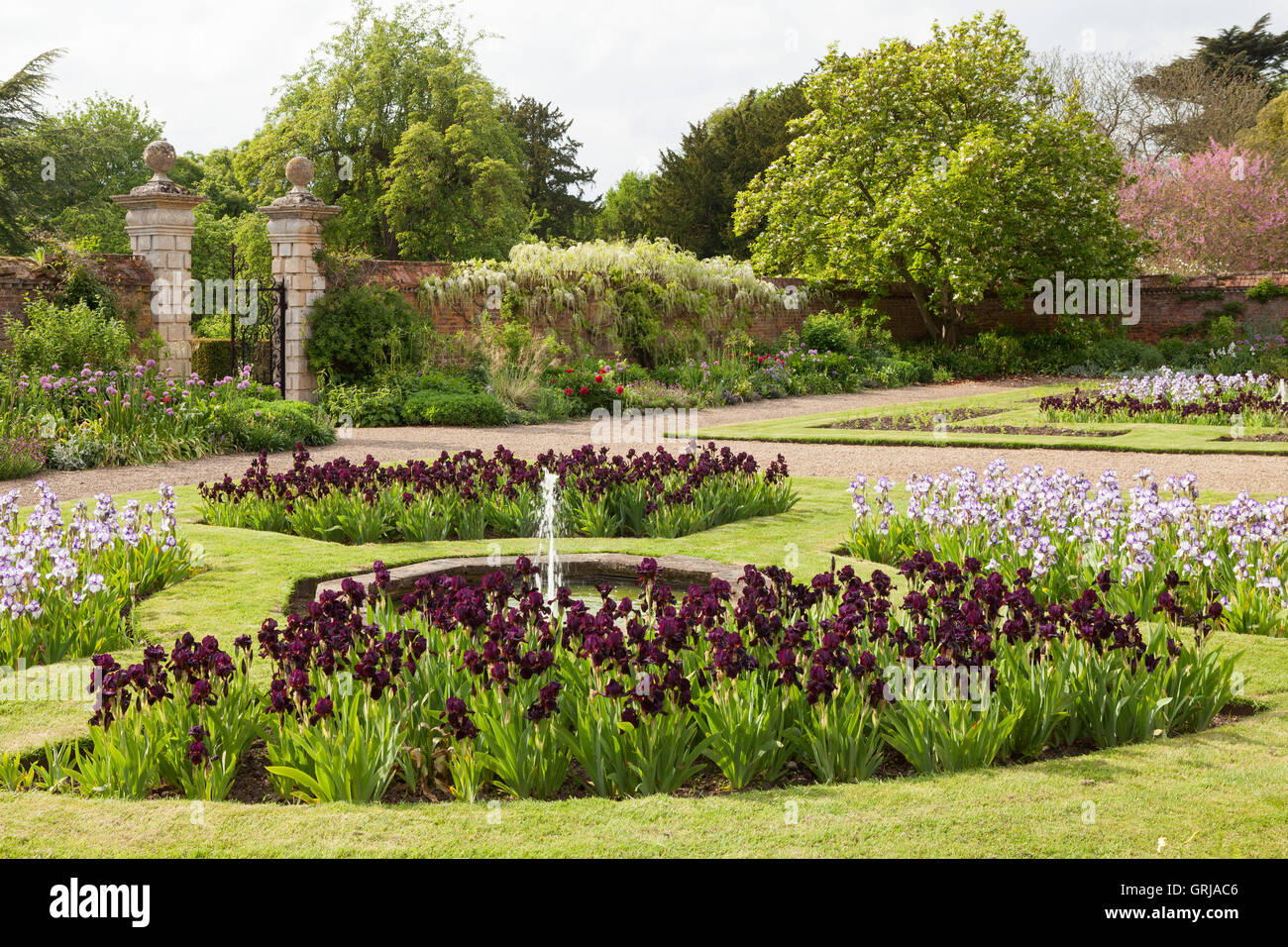 Doddington Hall e giardini, Lincolnshire, Regno Unito. Iridi in Occidente giardino durante la settimana dell'iride. Molla, maggio 2016. Foto Stock