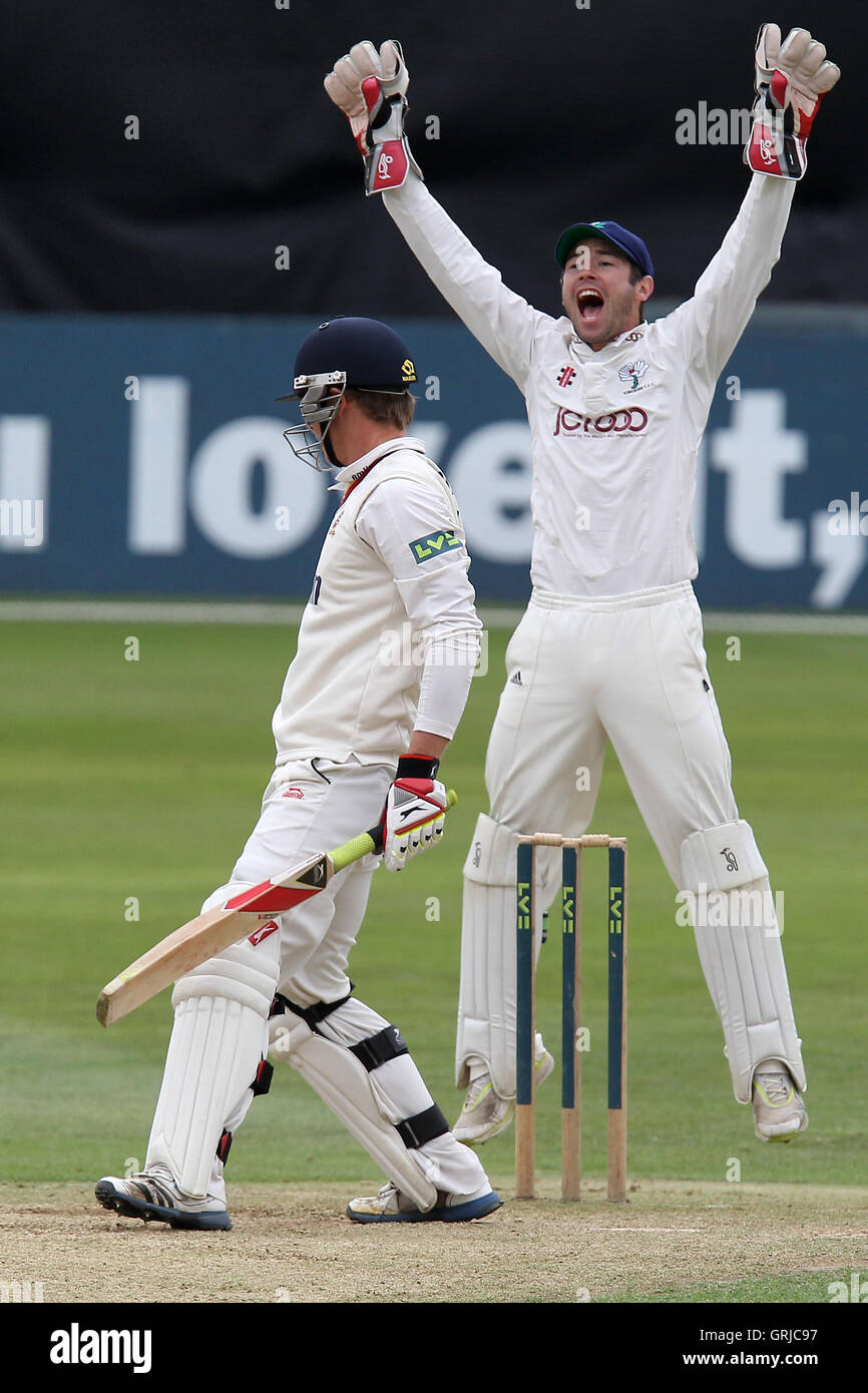 Andrew Hodd ricorsi con successo per il paletto di Essex battitore Tom Westley - Essex CCC vs Yorkshire CCC - LV County Championship Division due Cricket presso la Ford County Ground, Chelmsford Essex - 12/09/12 Foto Stock