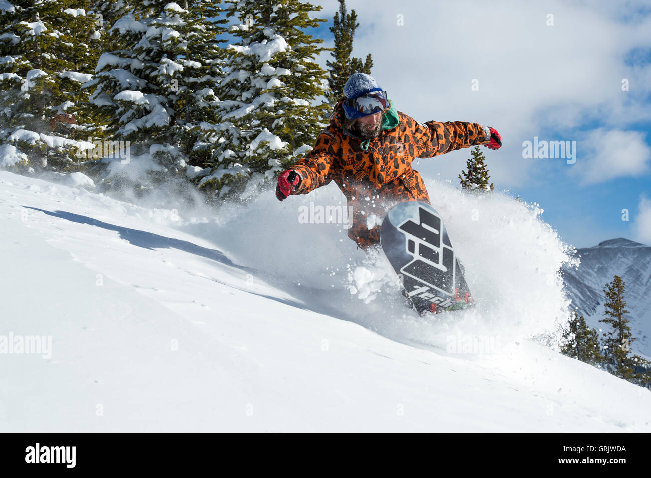 Snowboarder facendo una barra in polvere in una giornata di sole Foto Stock