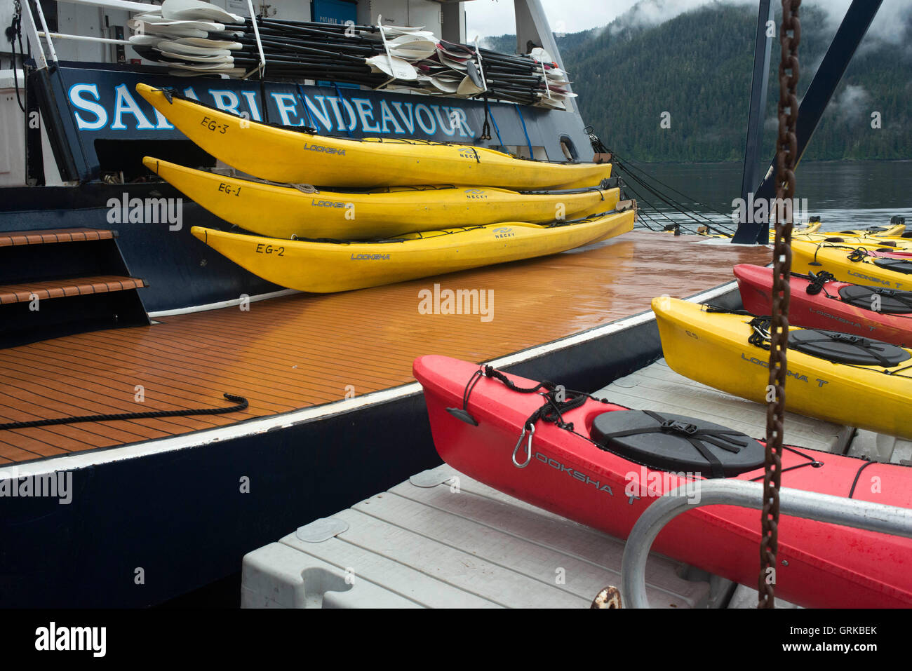 Kayak da mare accanto alla nave da crociera Safari Adoperano vicino a Reid ghiacciaio nel Parco Nazionale di Glacier Bay, Alaska, Stati Uniti d'America. Tutti i nostri viaggi a noi Foto Stock