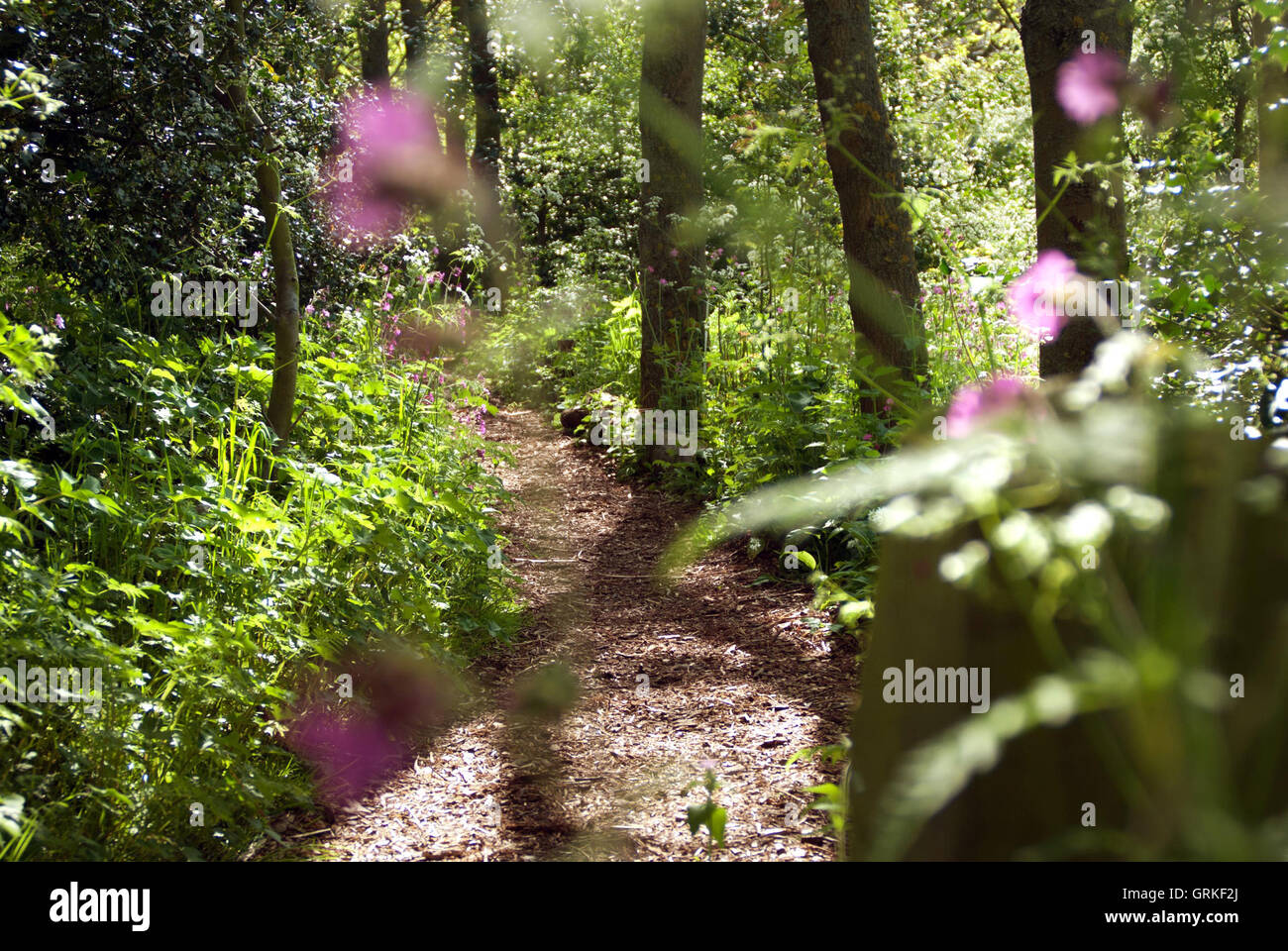 Boldon West Lodge / centro di educazione ambientale Foto Stock