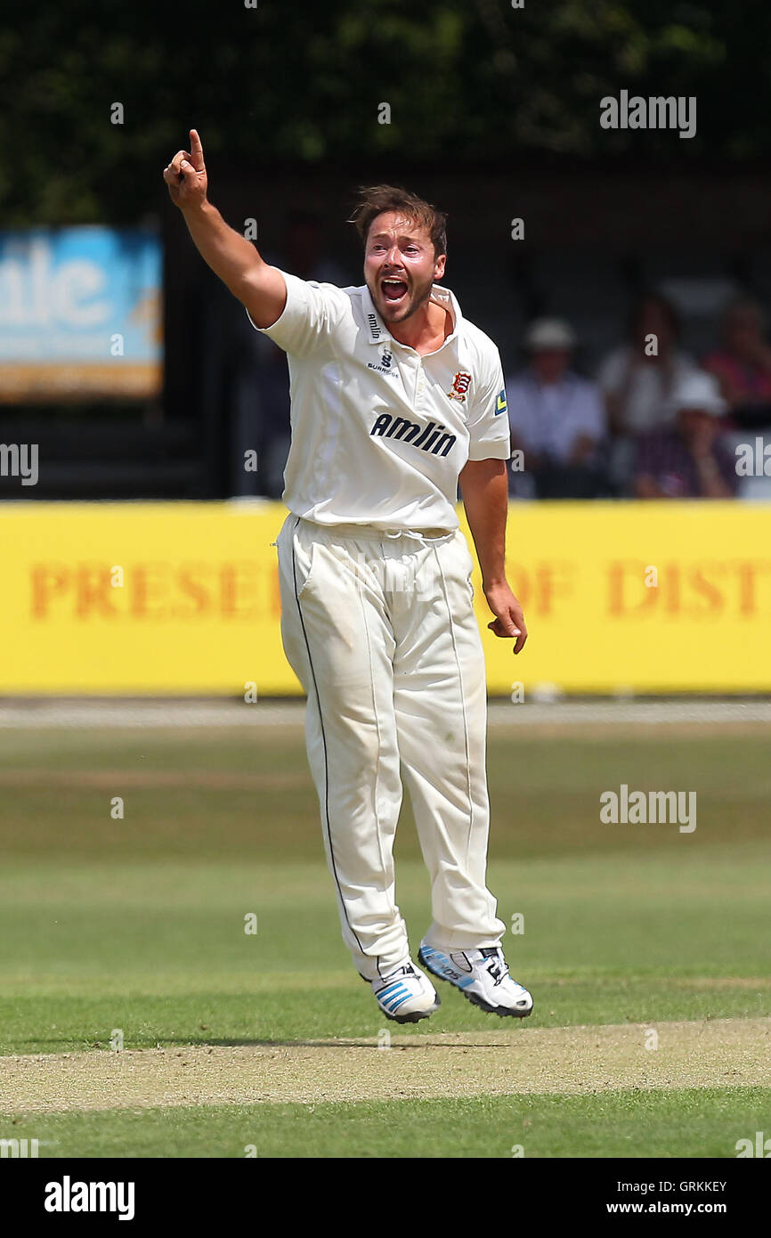 Graham Napier di Essex con un grande appello per il paletto di Adamo Rouse - Essex CCC vs Gloucestershire CCC - LV County Championship Division due Cricket presso la Ford County Ground, Chelmsford - 02/07/14 Foto Stock