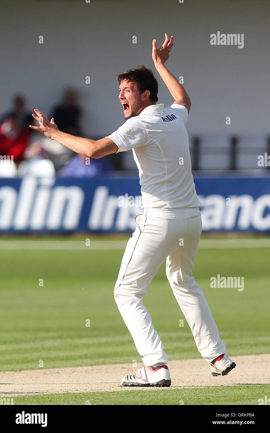 Tom Moore di Essex ricorsi con successo per il paletto di Rory Burns - Essex CCC vs Surrey CCC - LV County Championship Division due Cricket presso l'Essex County Ground, Chelmsford Essex - 25/05/14 Foto Stock