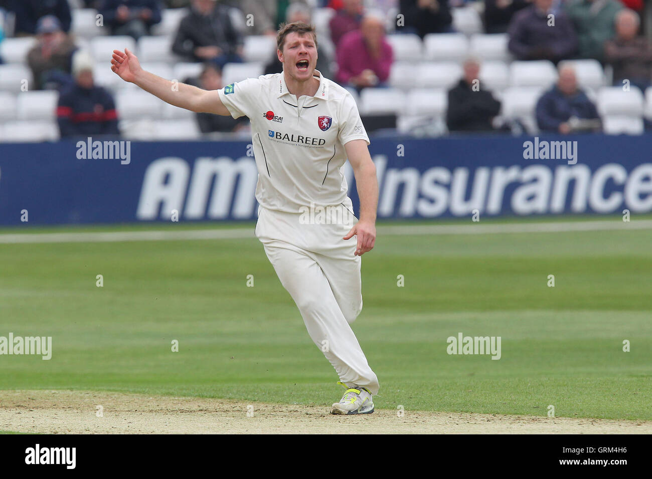 Matt Coles di Kent appelli per il paletto di James Foster - Essex CCC vs Kent CCC - LV County Championship Division due Cricket presso l'Essex County Ground, Chelmsford - 22/05/13 Foto Stock