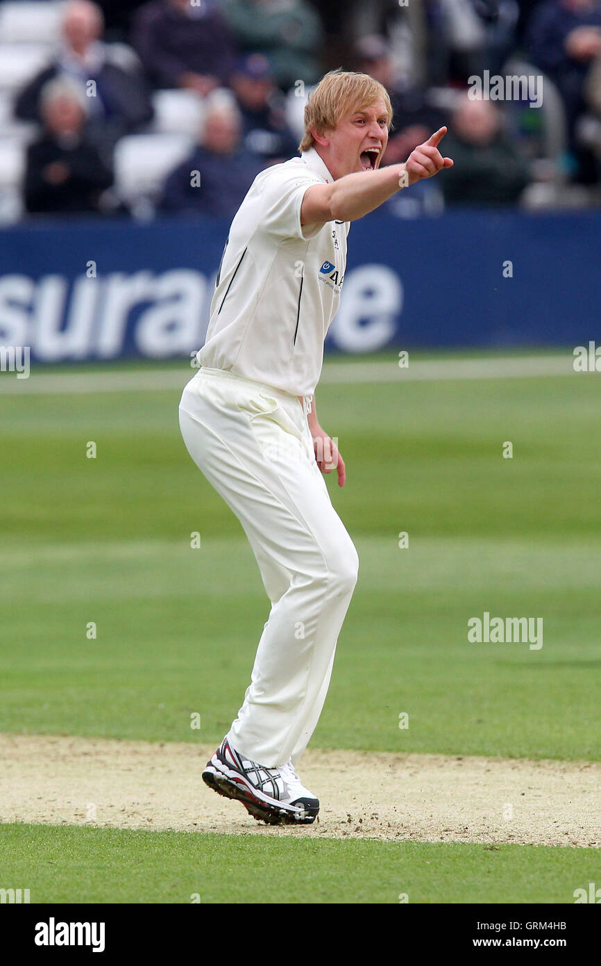 Mark Davies del Kent appelli per il paletto di Graham Napier - Essex CCC vs Kent CCC - LV County Championship Division due Cricket presso l'Essex County Ground, Chelmsford - 22/05/13 Foto Stock