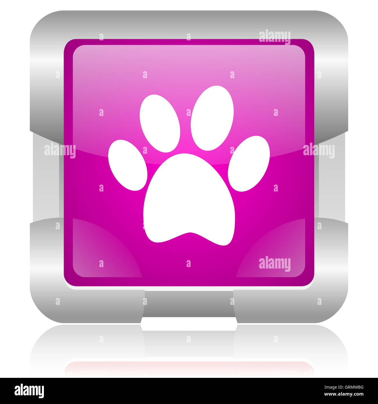 Footprint animale piazza rosa web icona lucida Foto Stock