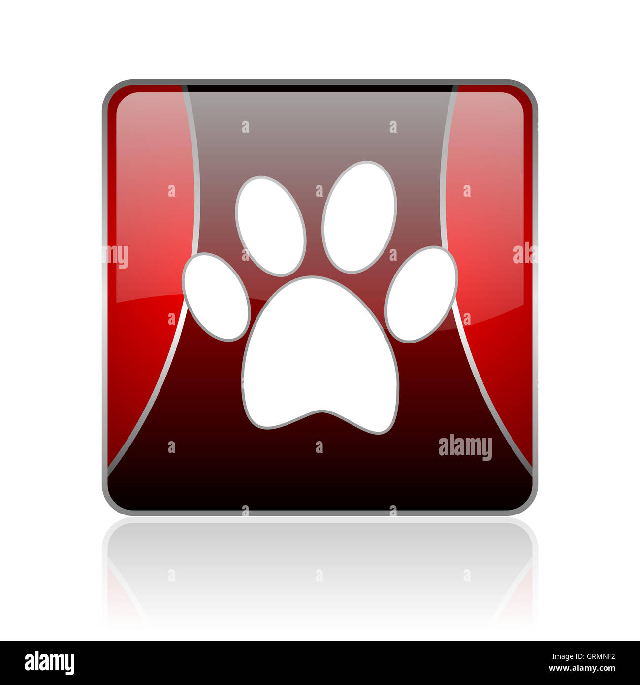 Footprint animale quadrato rosso web icona lucida Foto Stock