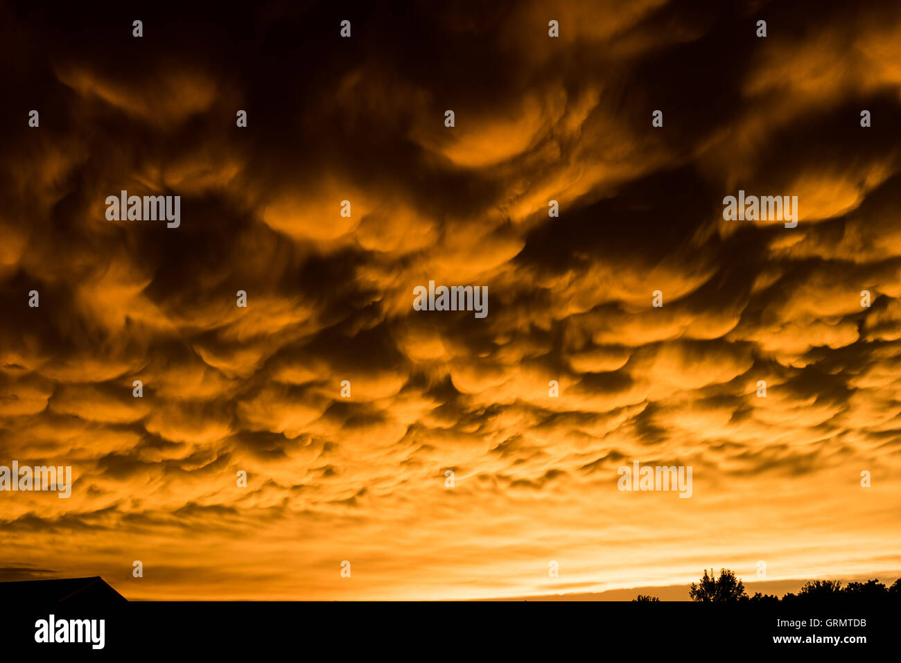Formazione di rare nuvole mammatus dopo un temporale Foto Stock