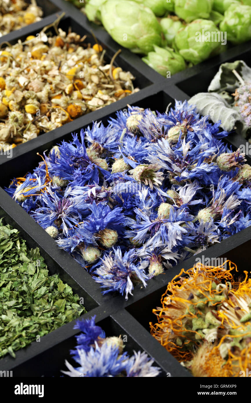 Un assortimento di erbe mediche Foto Stock