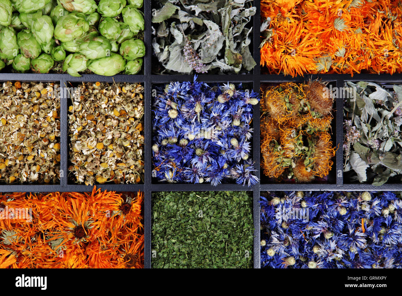 Essiccato assortiti di erbe mediche Foto Stock