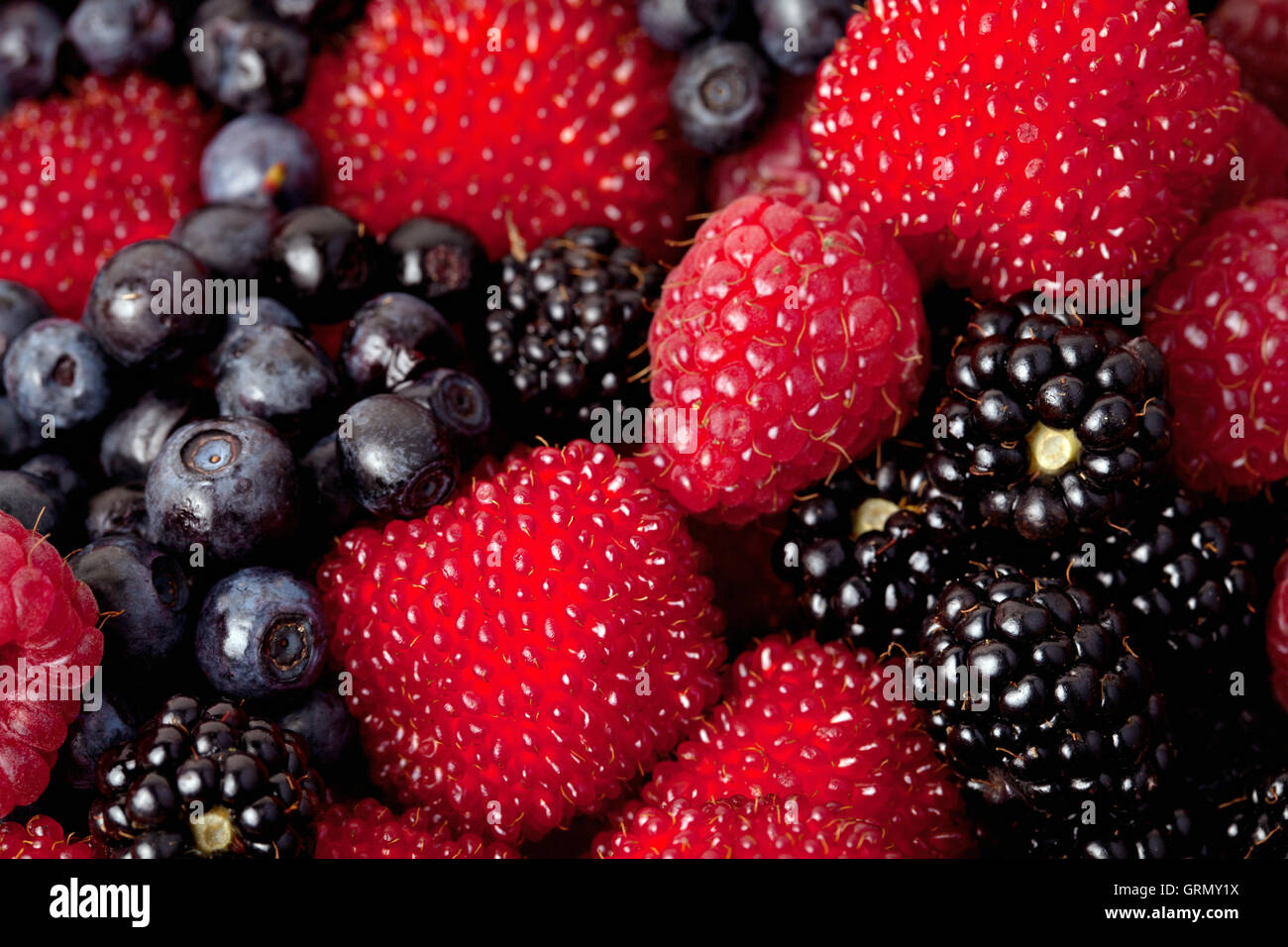 Frutti di bosco assortiti: lampone, mora e mirtillo - immagine di sfondo. Foto Stock