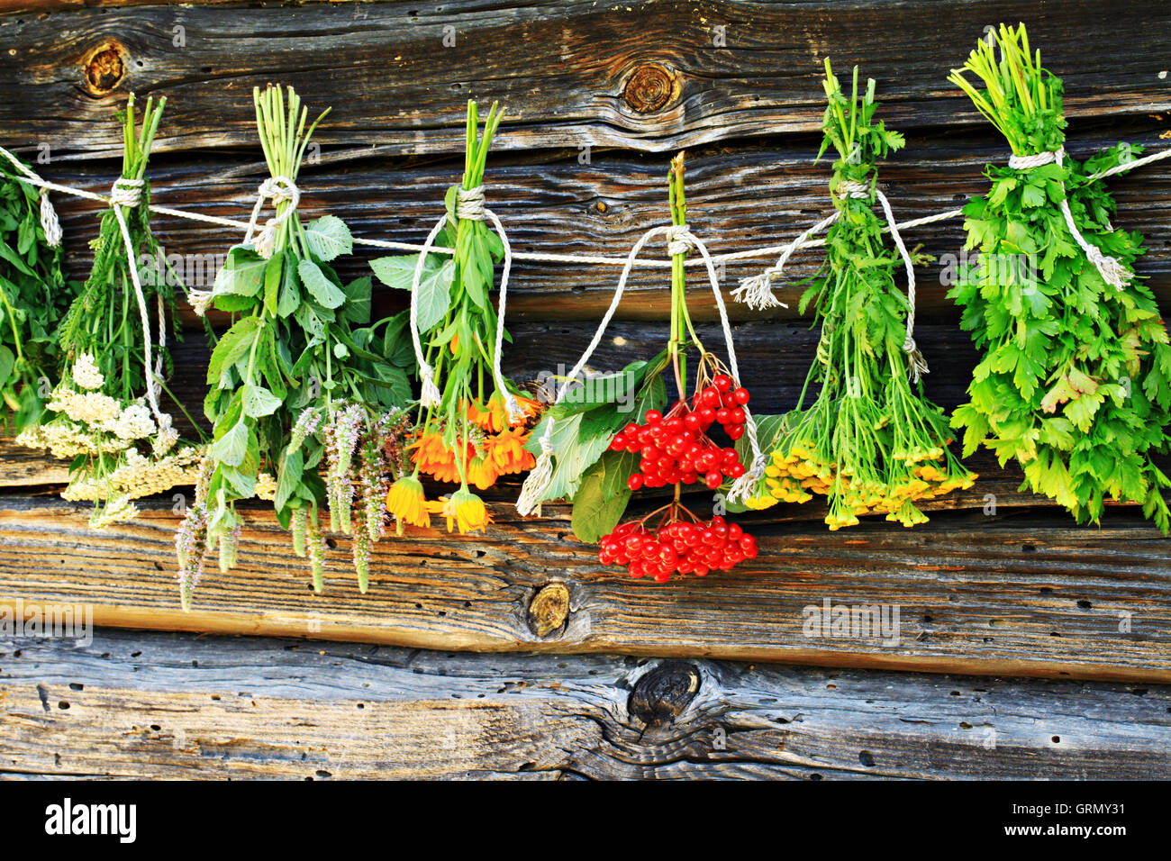 Un assortimento di erbe aromatiche. Varietà di essiccazione di erbe aromatiche. Foto Stock