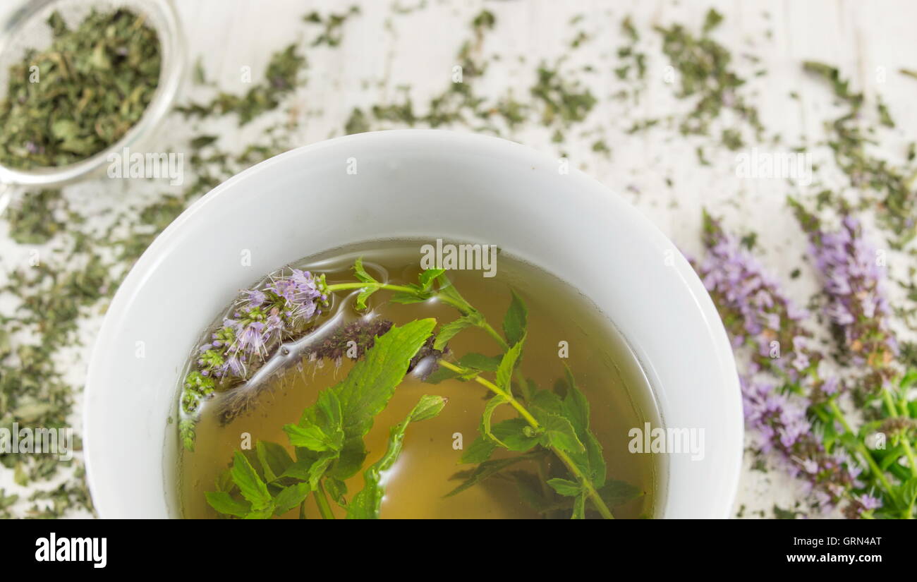 Il tè alla menta con erbe fresche in una tazzina Foto Stock