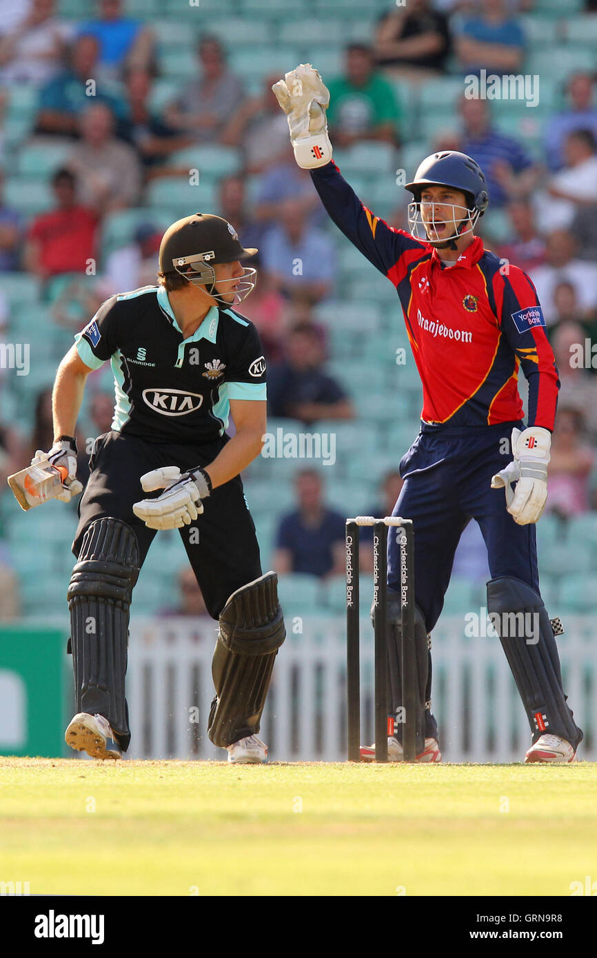 Un grande appello da James Foster di Essex per il paletto di Zafar Ansari - Surrey Lions vs Essex Eagles - Banca dello Yorkshire YB40 Cricket alla Kia ovale, Kennington, Londra - 02/08/13 Foto Stock