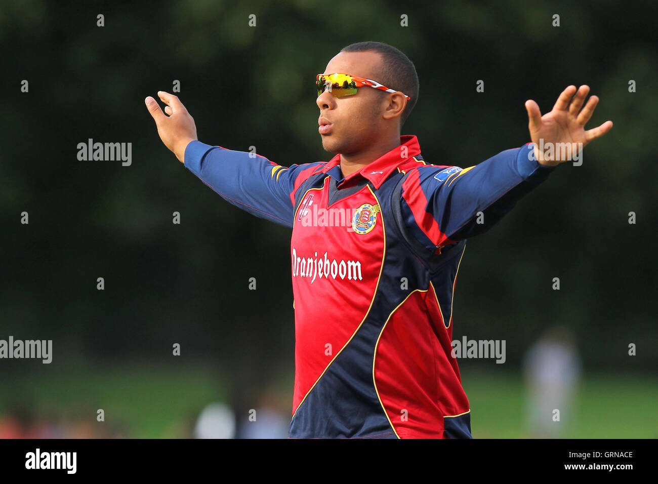 Tymal mulini di Essex - Upminster CC vs Essex CCC - David Masters beneficio corrispondono a Upminster Park - 01/09/13 Foto Stock