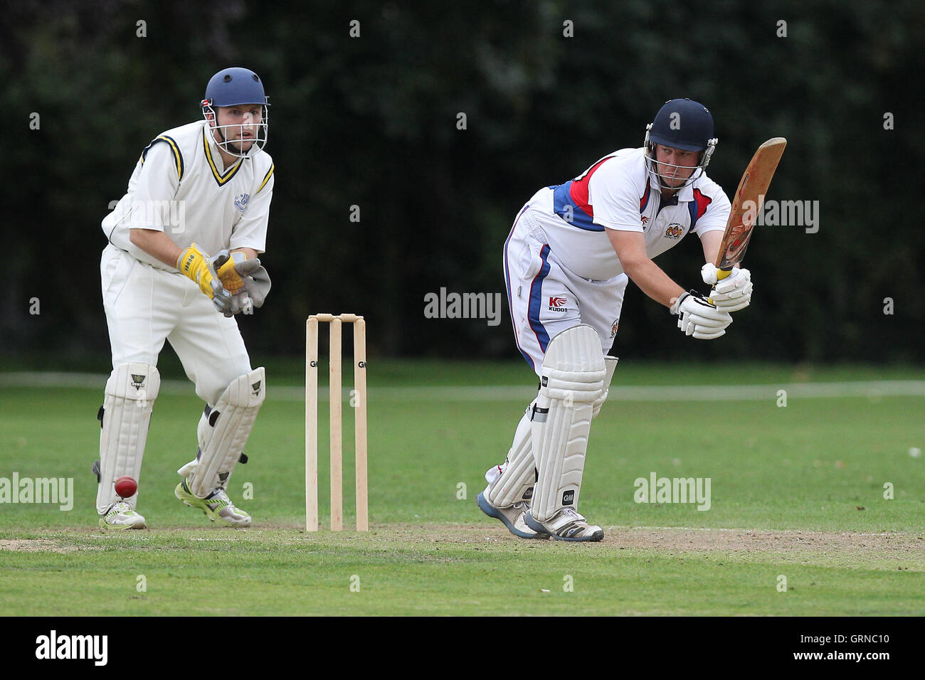 Hornchurch Athletic CC vs Brookweald CC - Mid-Essex Cricket League a Hylands Park - 30/08/14 Foto Stock