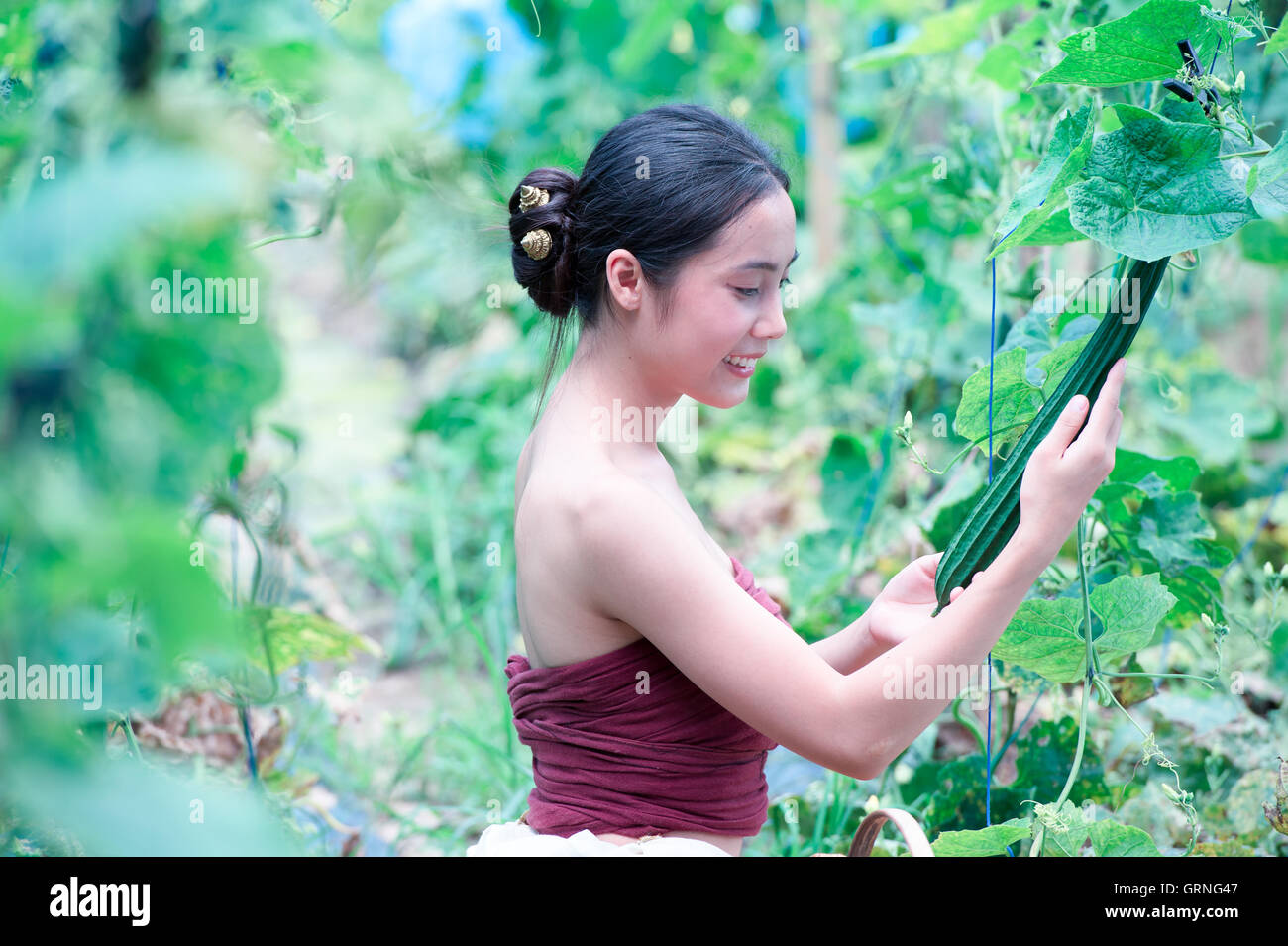 Asia donna bella e cesto contenente la raccolta delle zucchine, chiangrai Thailandia, in stile vintage, aggiungi grana Foto Stock