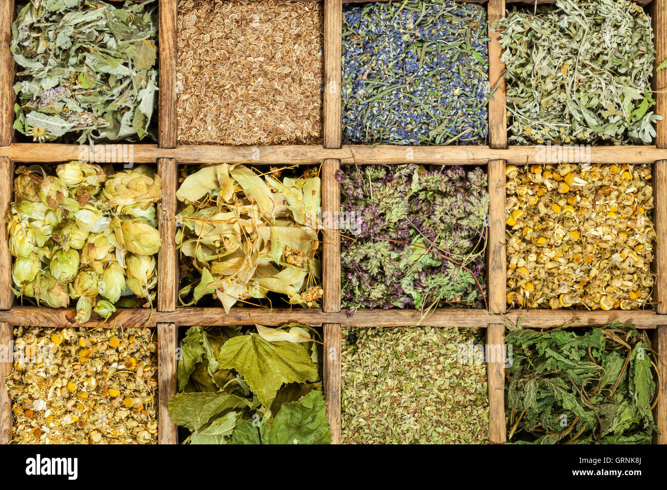 Un assortimento di secchi Erbe mediche tea Foto Stock