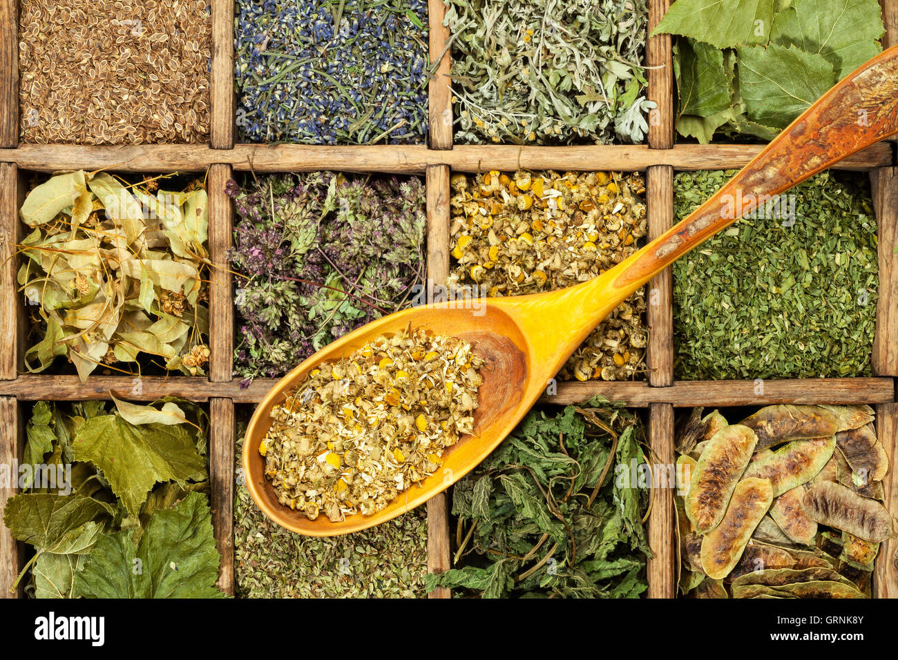 Un assortimento di secchi Erbe mediche il tè. Foto Stock