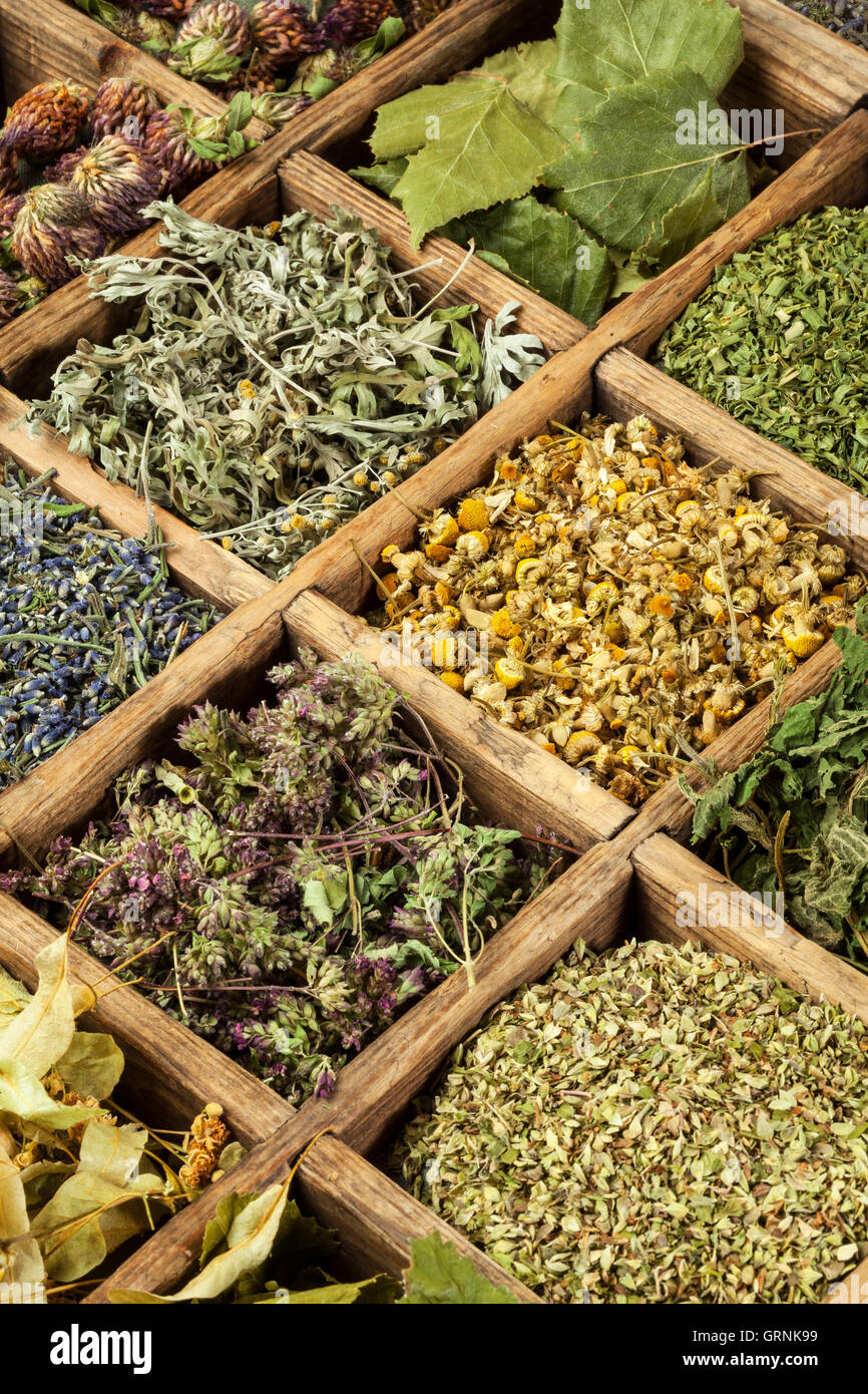 Un assortimento di secchi Erbe mediche il tè. Foto Stock