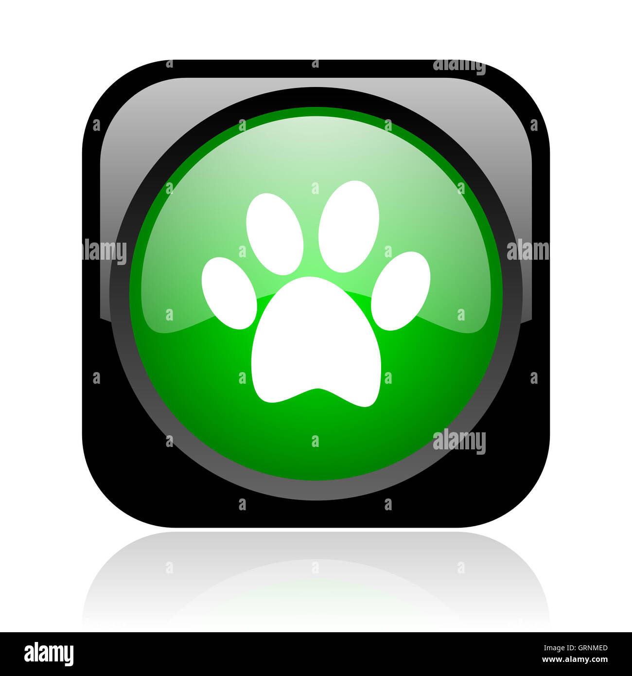 Footprint animale nero e verde piazza web icona lucida Foto Stock