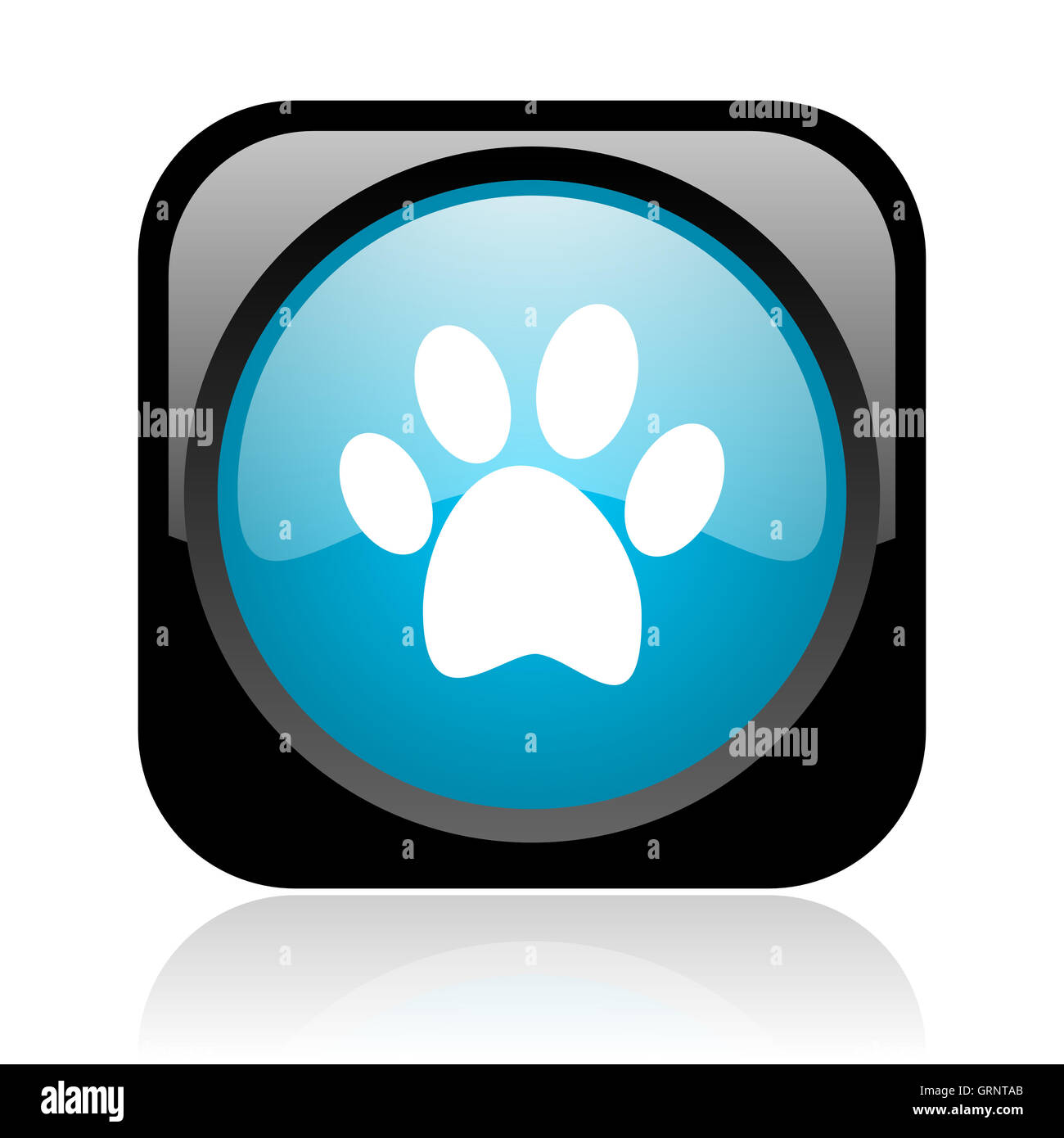 Footprint animale nero e blu square web icona lucida Foto Stock
