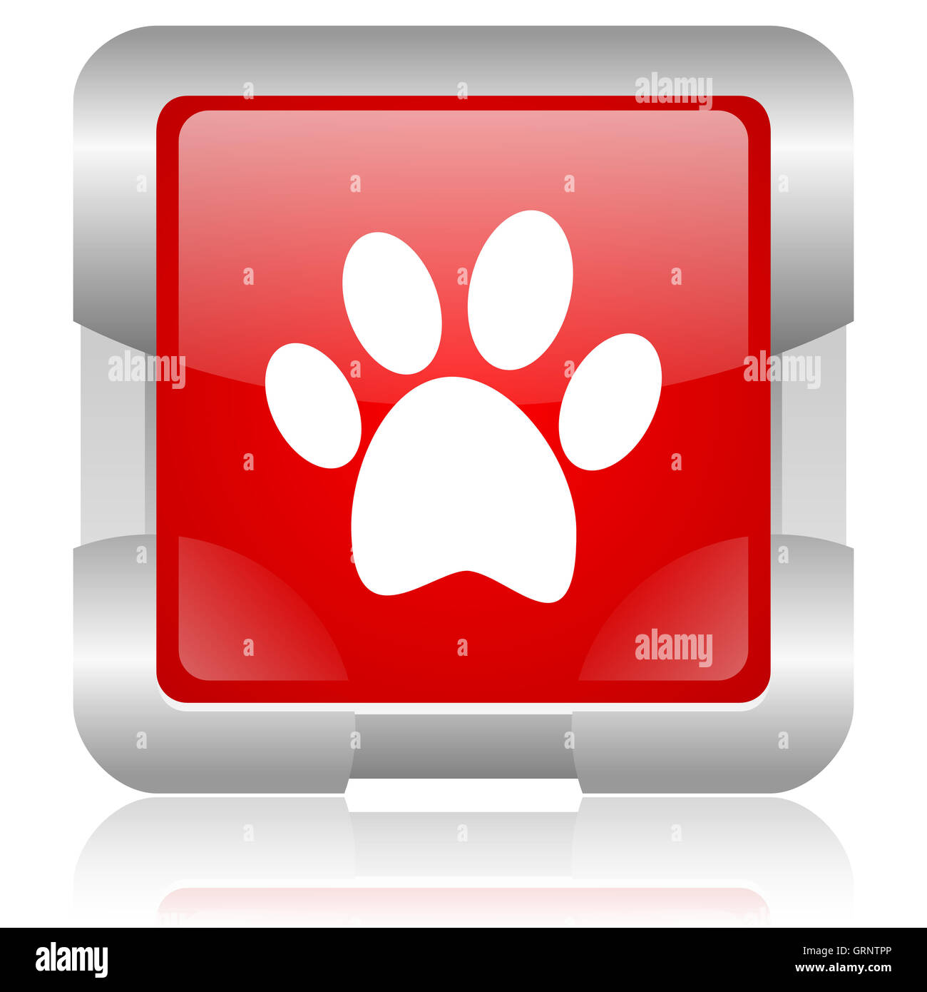 Footprint animale quadrato rosso web icona lucida Foto Stock