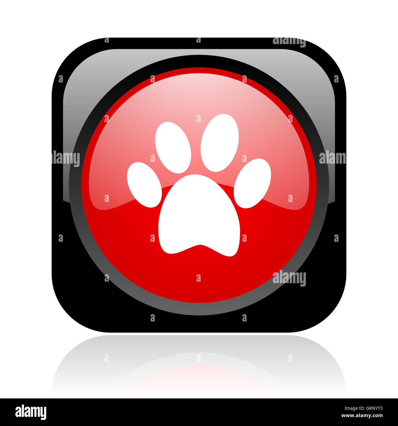 Footprint di animali in bianco e nero e la piazza rossa web icona lucida Foto Stock