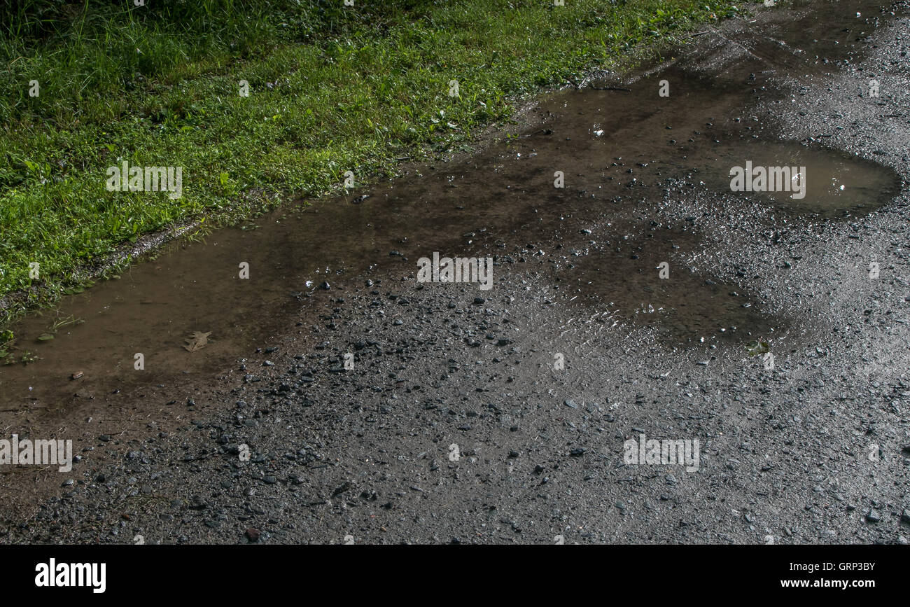 Pozzanghere in corrispondenza di un bordo di una sterrata strada sterrata. Foto Stock