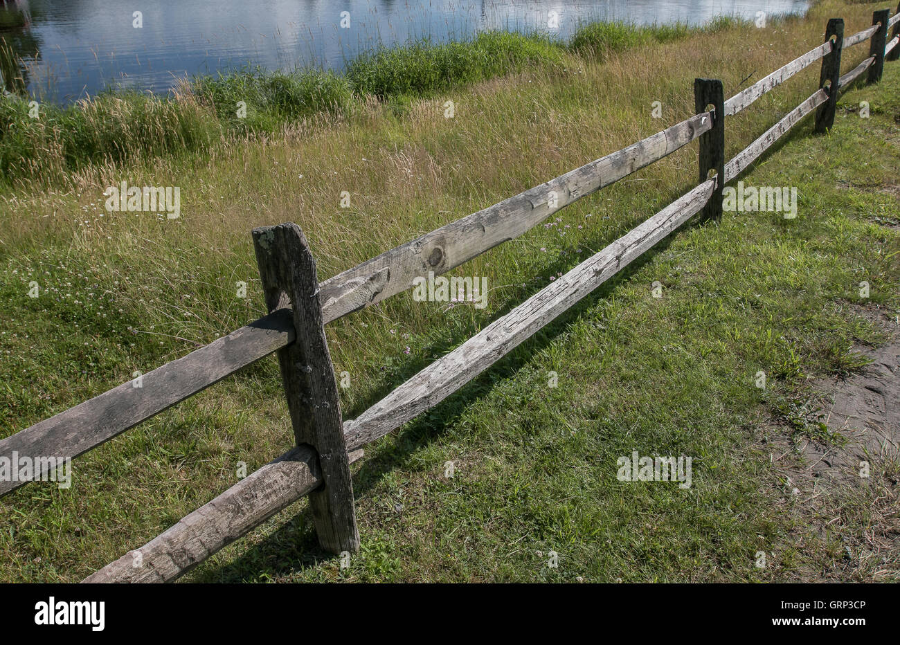 Sezioni di un vecchio legno stagionato split cancellata. Foto Stock