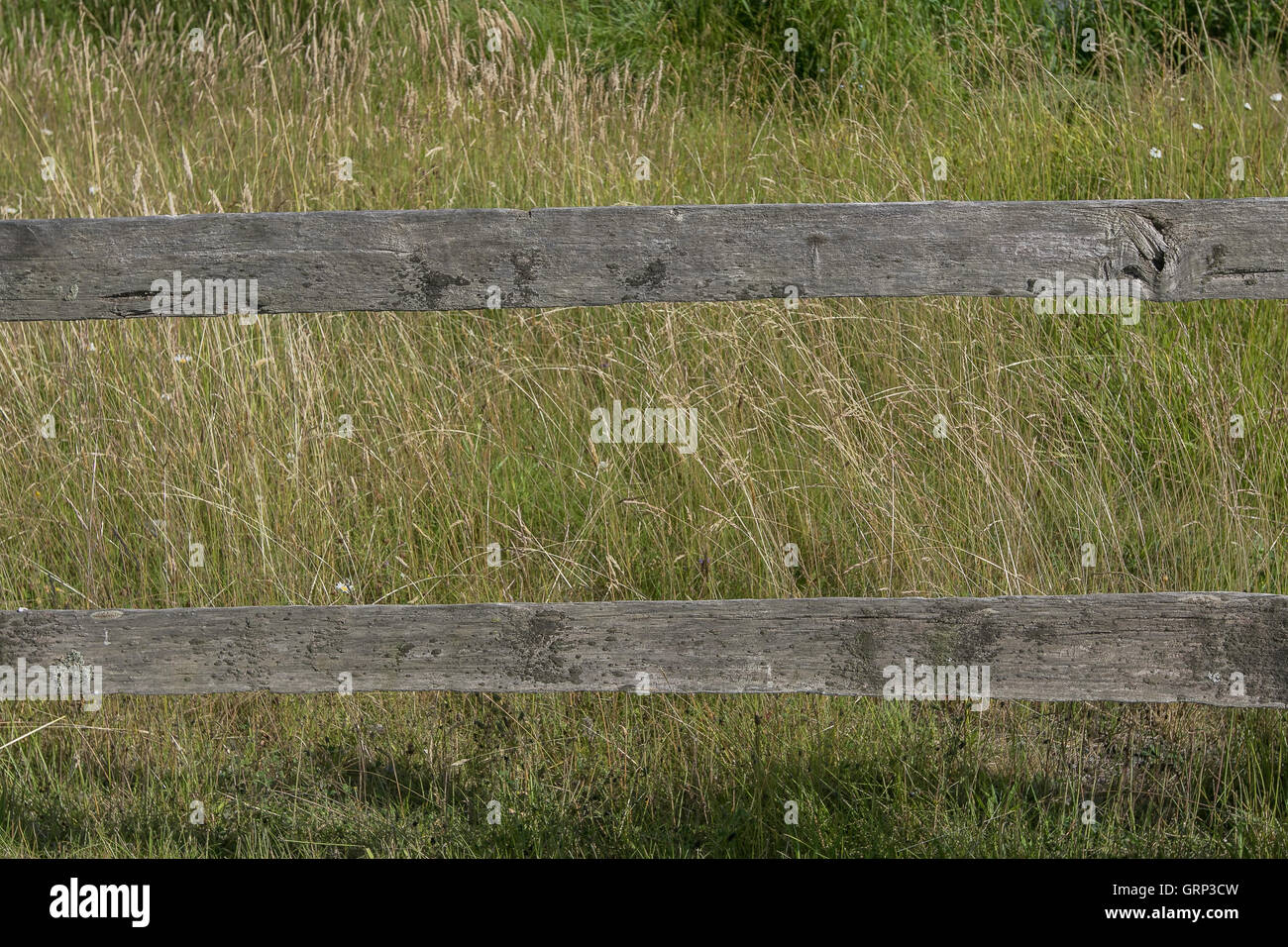 Una parte di una sezione di un vecchio weathered legno recinzione di campagna. Foto Stock