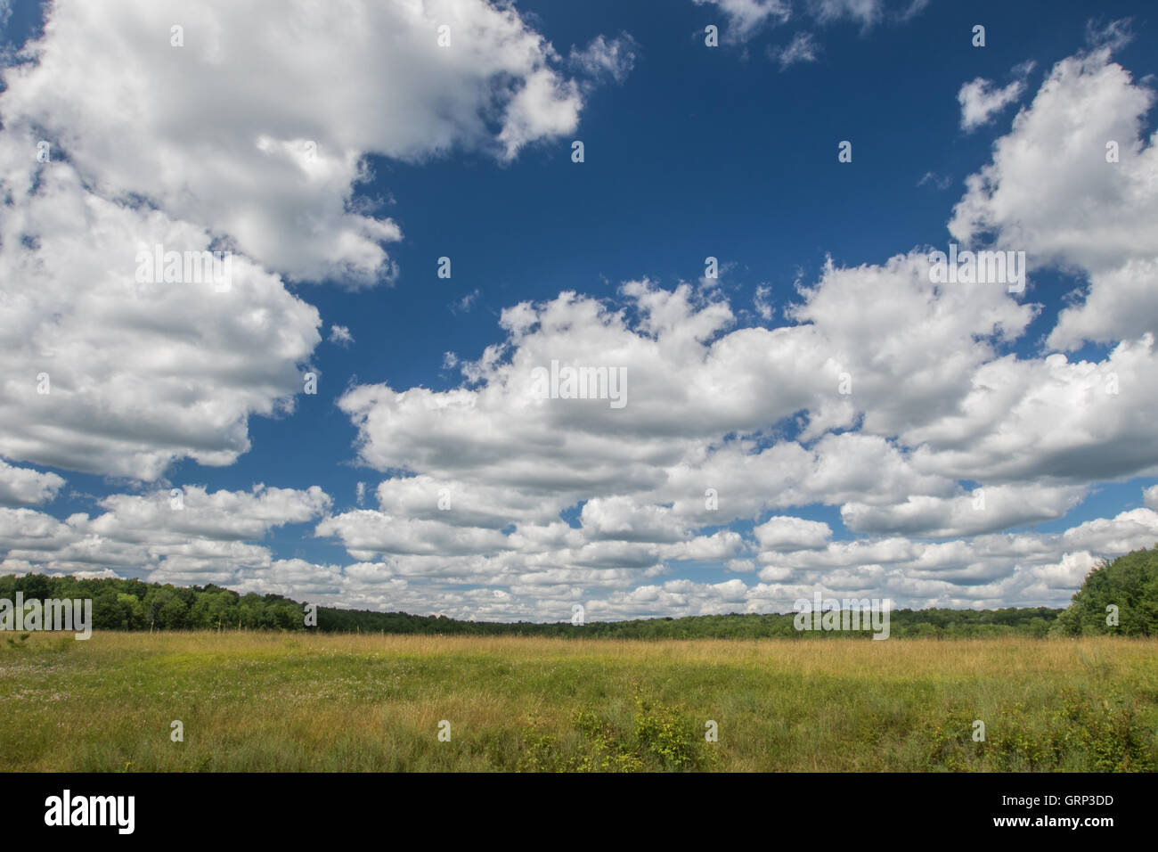 Un cielo luminoso con nuvole sopra un estate campo erboso. Foto Stock